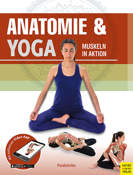 Anatomie & Yoga